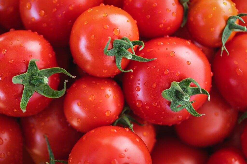 tomatoes-7433786_1280