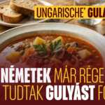 ungarise_hgk_borito