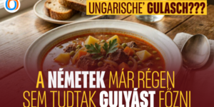 ungarise_hgk_borito