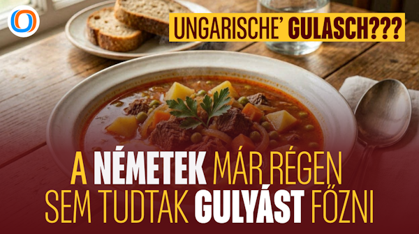 Ungarische' gulasch